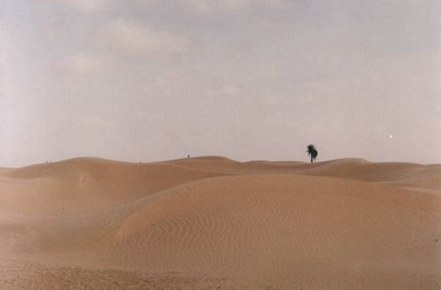 Sahara w Douz